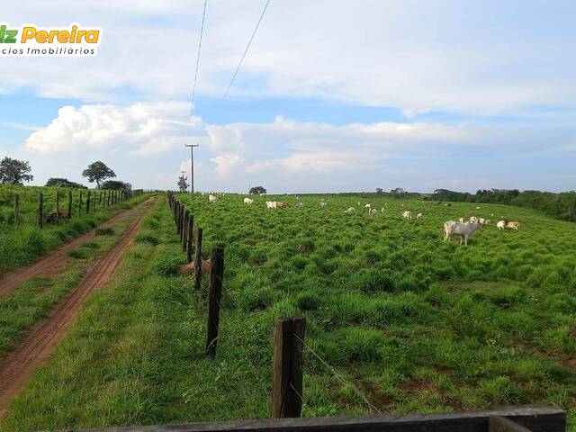 Venda em Zona Rural - Grajaú