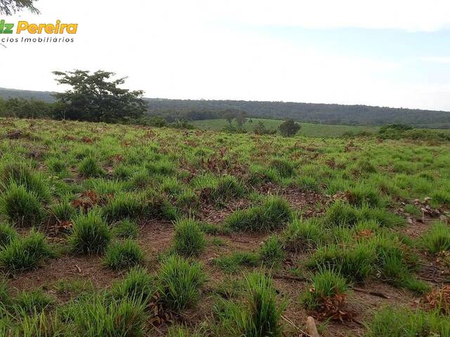 #2524 - Fazenda para Venda em Grajaú - MA - 3