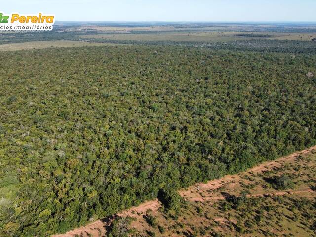 #2527 - Fazenda para Venda em Coxim - MS - 1