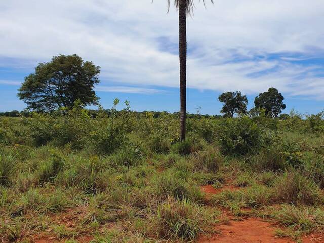 #2531 - Fazenda para Venda em Talismã - TO - 2