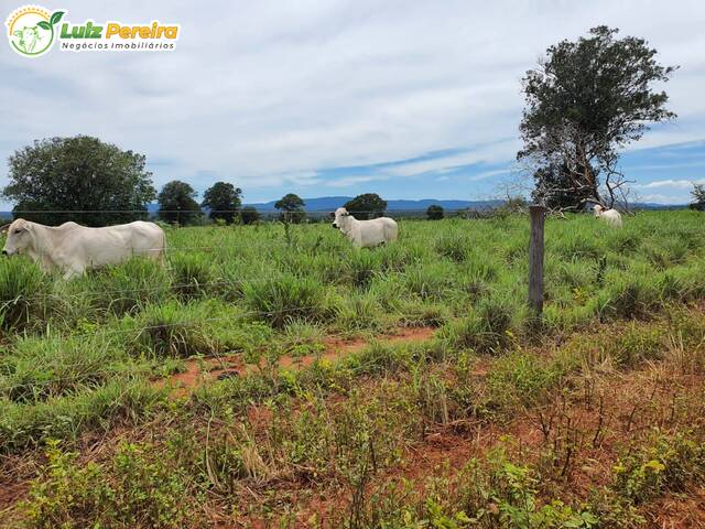 #2531 - Fazenda para Venda em Talismã - TO