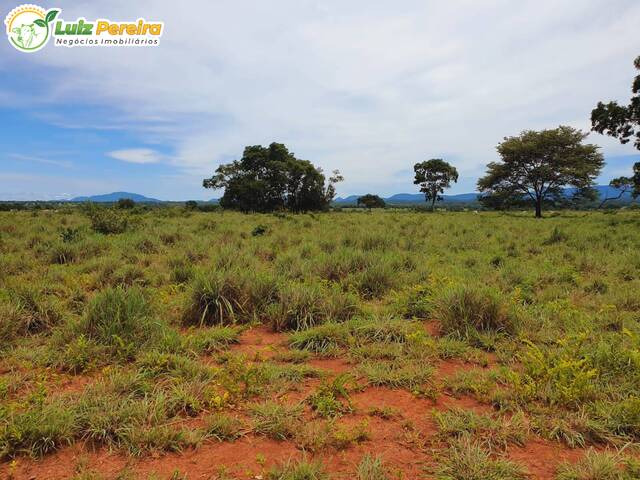 #2531 - Fazenda para Venda em Talismã - TO - 3