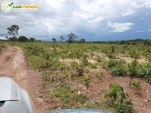 #2532 - Fazenda para Venda em Sucupira - TO - 1