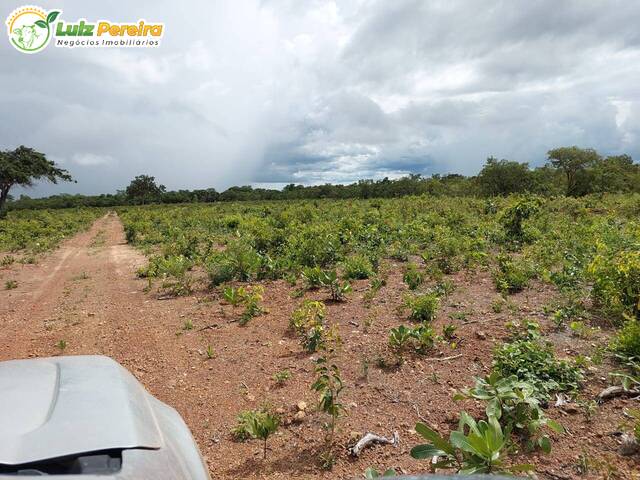 #2532 - Fazenda para Venda em Sucupira - TO - 2