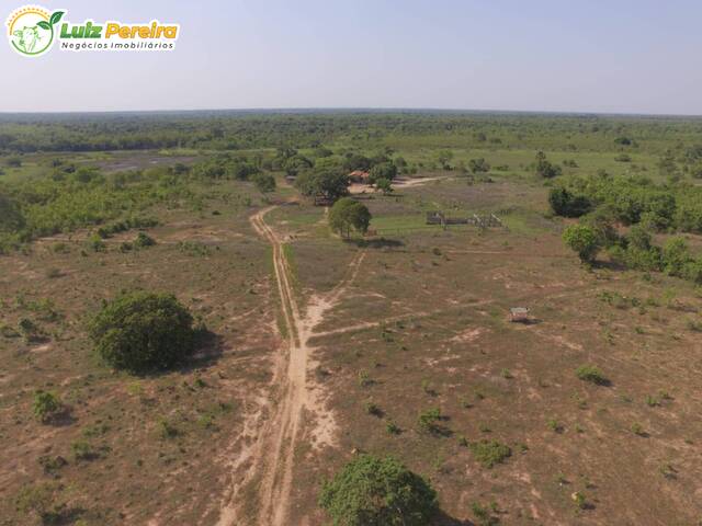 #2533 - Fazenda para Venda em Alvorada - RS - 3