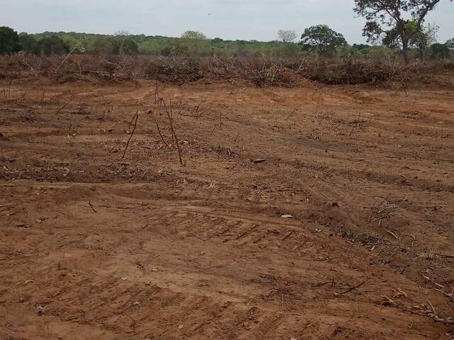 #2534 - Fazenda para Venda em Talismã - TO - 3