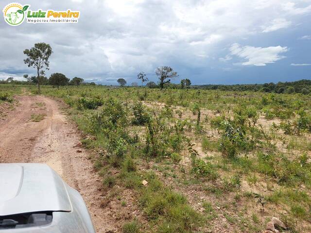 #2534 - Fazenda para Venda em Talismã - TO