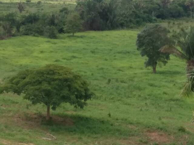 #2535 - Fazenda para Venda em São Domingos do Araguaia - PA - 1