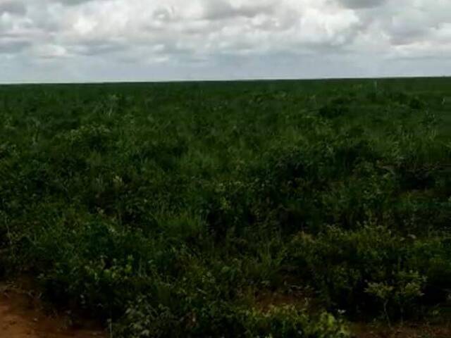 Venda em Zona Rural - Fernando Falcão