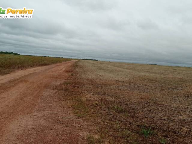 #2541 - Fazenda para Venda em Peixe - TO - 3