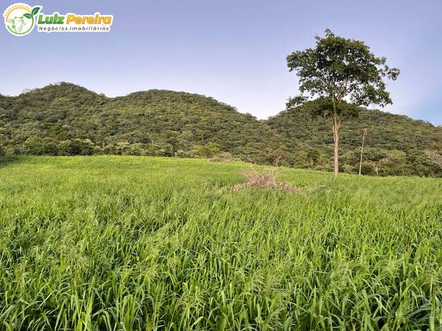 Venda em Corumbá - Corumbá