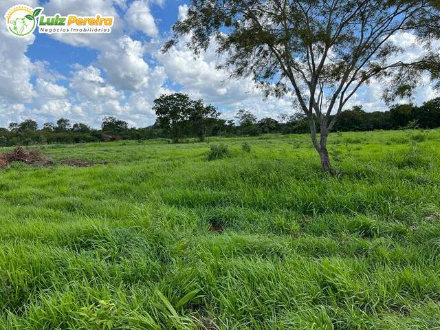 #2543 - Fazenda para Venda em Corumbá - MS - 2