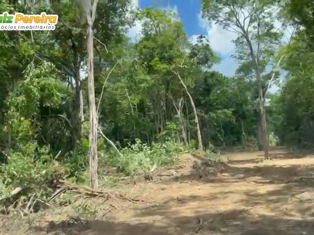 Venda em Zona Rural - São João dos Patos