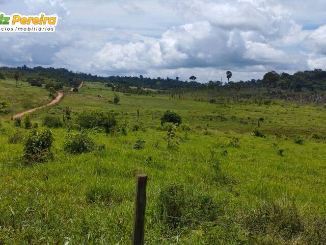 #2545 - Fazenda para Venda em Pacajá - PA - 2