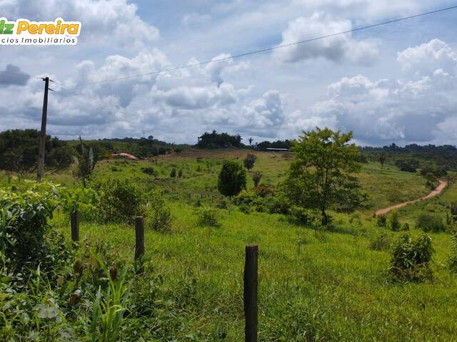 #2545 - Fazenda para Venda em Pacajá - PA - 1