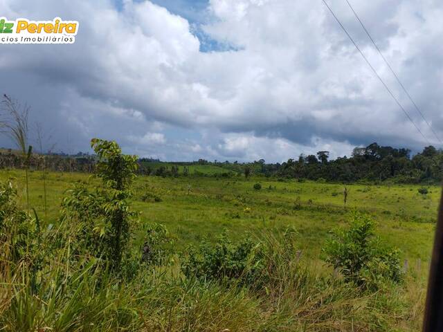 #2545 - Fazenda para Venda em Pacajá - PA - 3