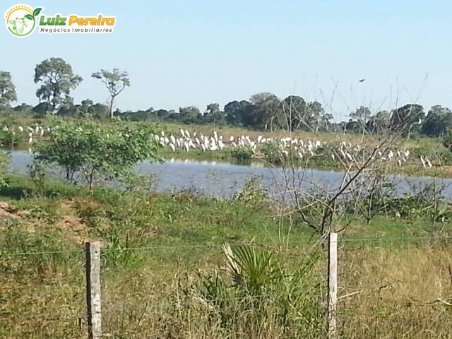 #2547 - Fazenda para Venda em Corumbá - MS - 3