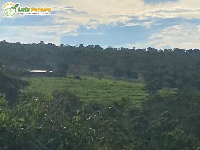 #2548 - Fazenda para Venda em Figueirão - MS - 3