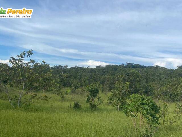 #2548 - Fazenda para Venda em Figueirão - MS