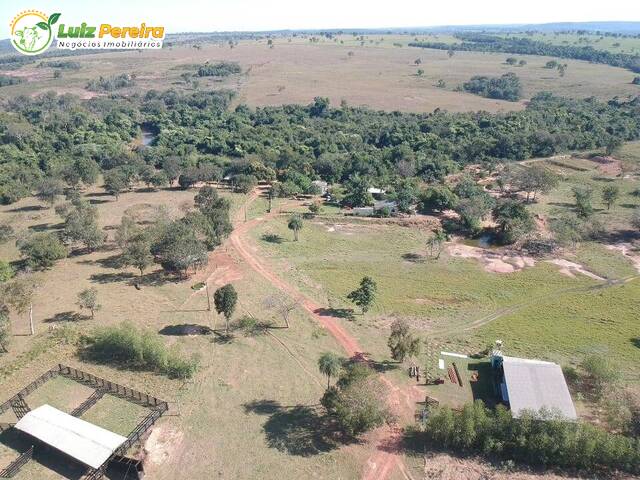 #2550 - Fazenda para Venda em Pedro Gomes - MS - 1