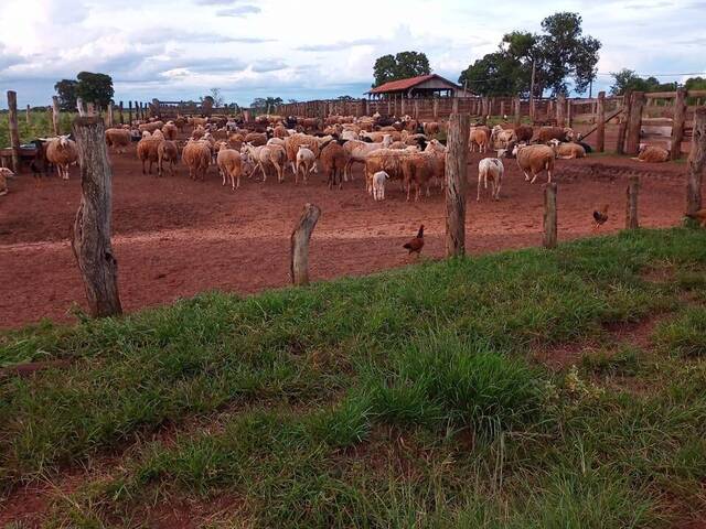 #2551 - Fazenda para Venda em Santa Rita do Pardo - MS - 2