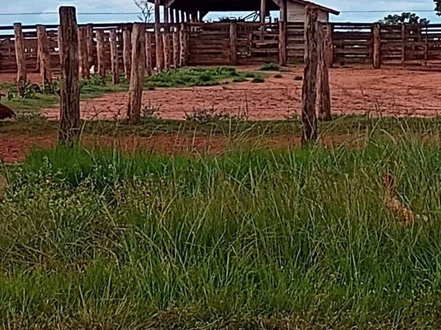 #2551 - Fazenda para Venda em Santa Rita do Pardo - MS - 3