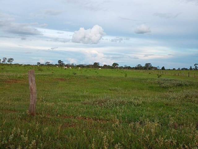 #2551 - Fazenda para Venda em Santa Rita do Pardo - MS - 1