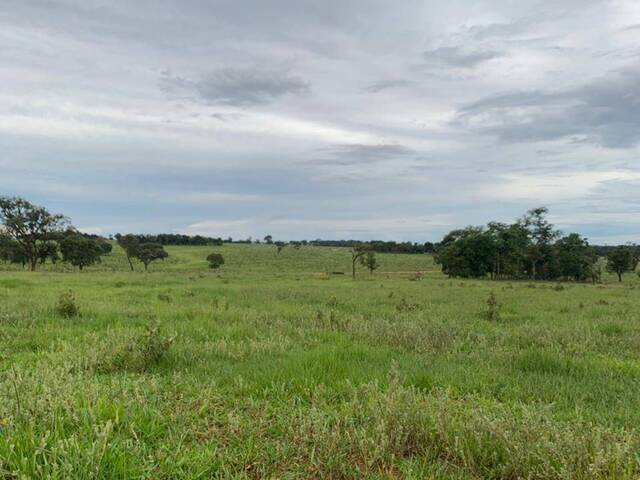 #2553 - Fazenda para Venda em Santa Rita do Pardo - MS - 2