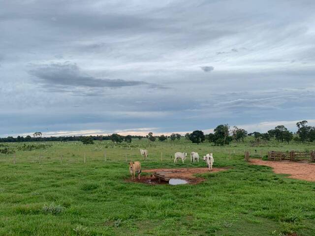 Venda em Zona Rural - Santa Rita do Pardo