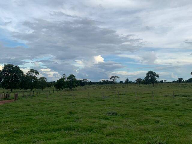 #2553 - Fazenda para Venda em Santa Rita do Pardo - MS - 3