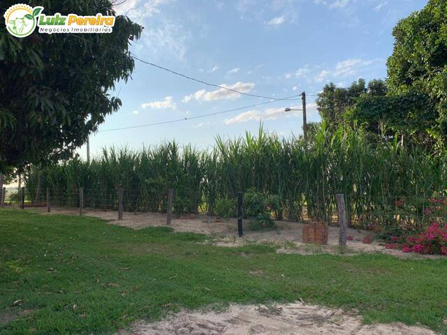 Venda em NOVO HORIZONTE - Santa Rita do Pardo