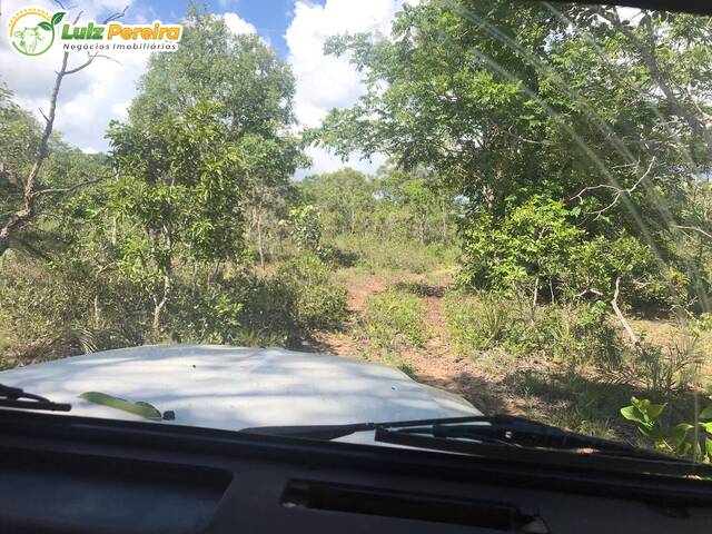 Venda em Zona Rural - Fernando Falcão