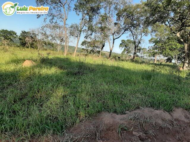 #2555 - Fazenda para Venda em Rochedo - MS - 3