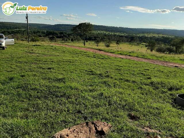 #2555 - Fazenda para Venda em Rochedo - MS