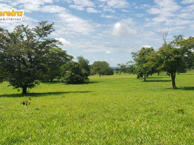 #2556 - Fazenda para Venda em São Gabriel do Oeste - MS - 1