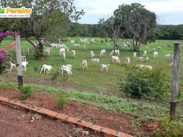 #2560 - Fazenda para Venda em Recursolândia - TO