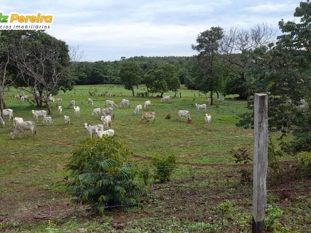 #2560 - Fazenda para Venda em Recursolândia - TO - 2