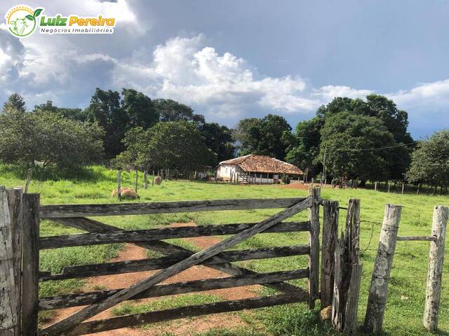 #2566 - Fazenda para Venda em Carolina - MA - 1