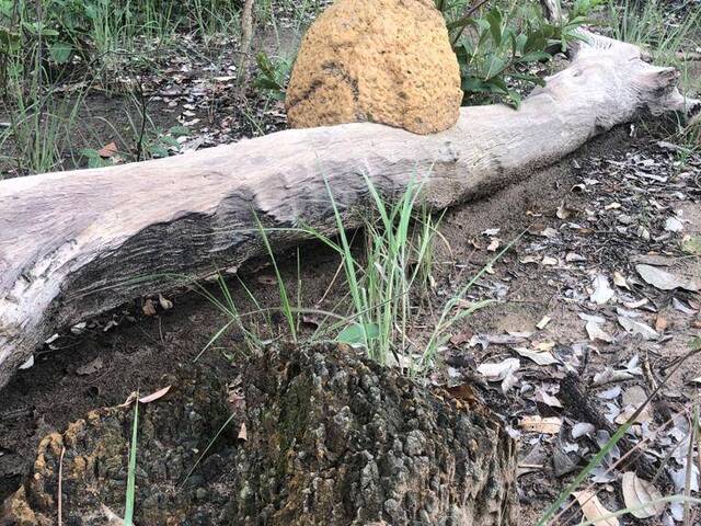 #2567 - Fazenda para Venda em Balsas - MA - 2