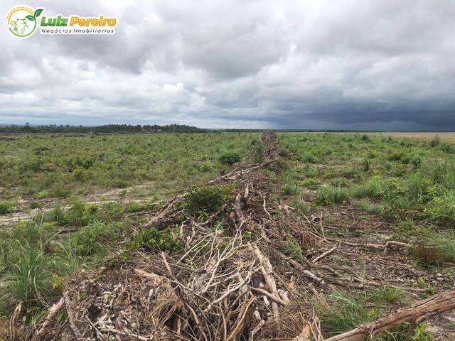 #2567 - Fazenda para Venda em Balsas - MA - 3