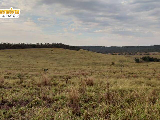 #2568 - Fazenda para Venda em Alto Araguaia - MT - 3