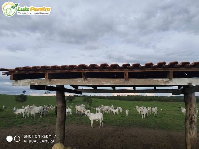 #2568 - Fazenda para Venda em Alto Araguaia - MT - 2