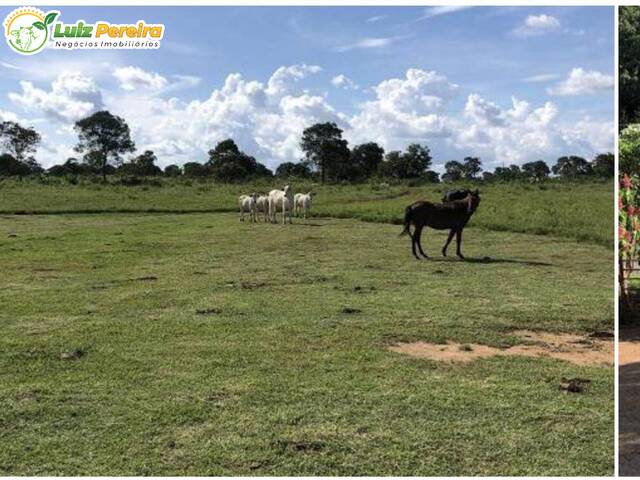 #2571 - Fazenda para Venda em Gurupi - TO - 2