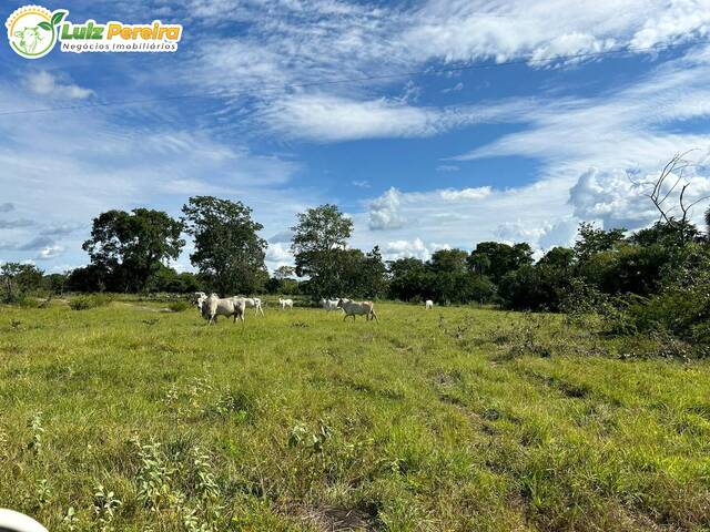 Venda em Zona Rural - Gurupi