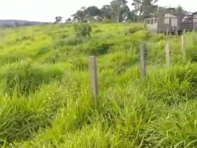 #2572 - Fazenda para Venda em Itaituba - PA - 1