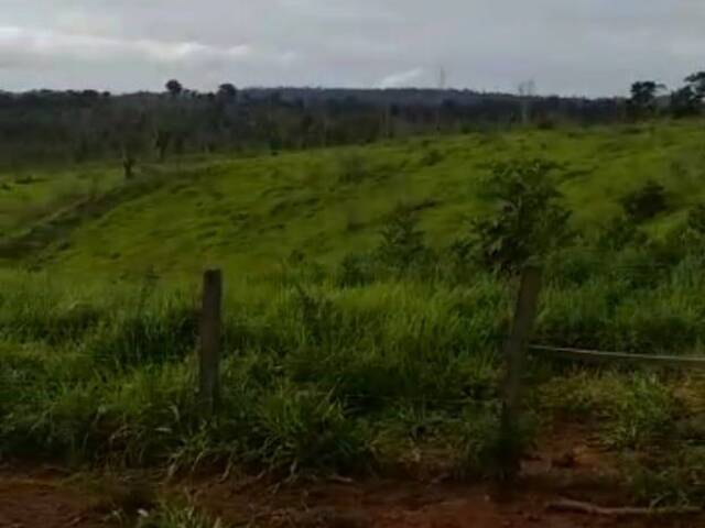 #2572 - Fazenda para Venda em Itaituba - PA - 3