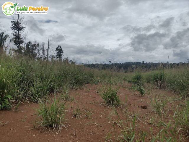 #2573 - Fazenda para Venda em Itaituba - PA - 2