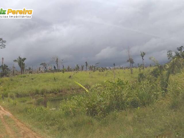 #2573 - Fazenda para Venda em Itaituba - PA - 3