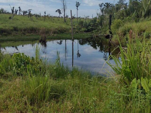 #2573 - Fazenda para Venda em Itaituba - PA