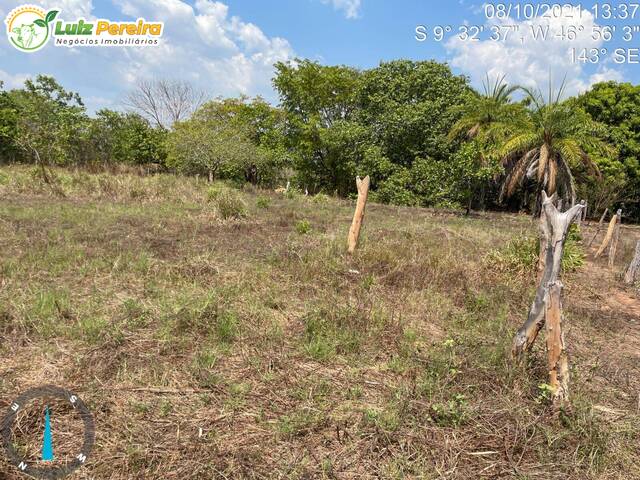 #2574 - Fazenda para Venda em Lizarda - TO - 2